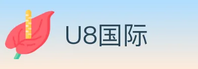 U8国际 logo